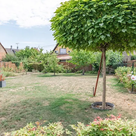 Manala - Maison 4 Avec Cinema Et Jardin